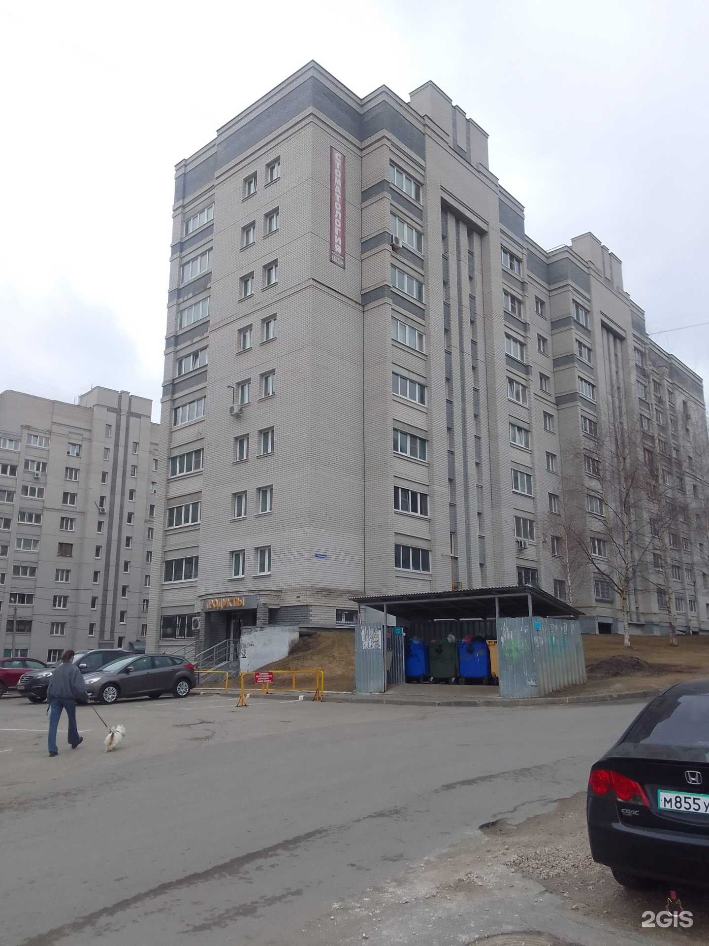 Отзывы на компанию Daddy`s Dental Clinic в Владимире c фото - фотография 2 из 2