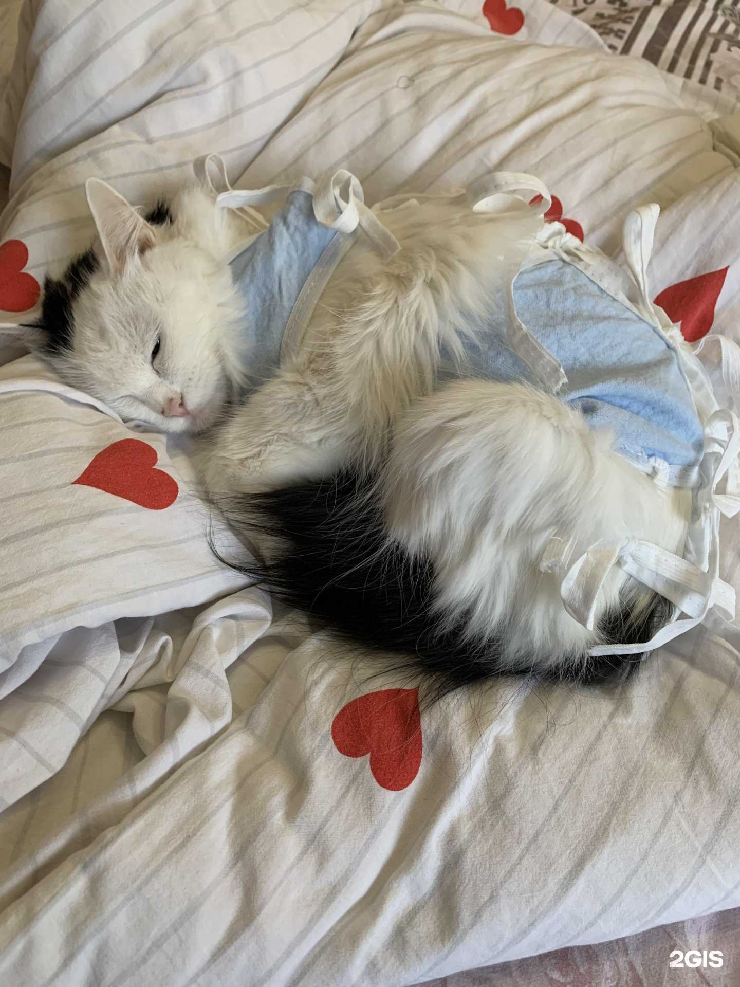 Отзывы на компанию Друг в Тольятти c фото