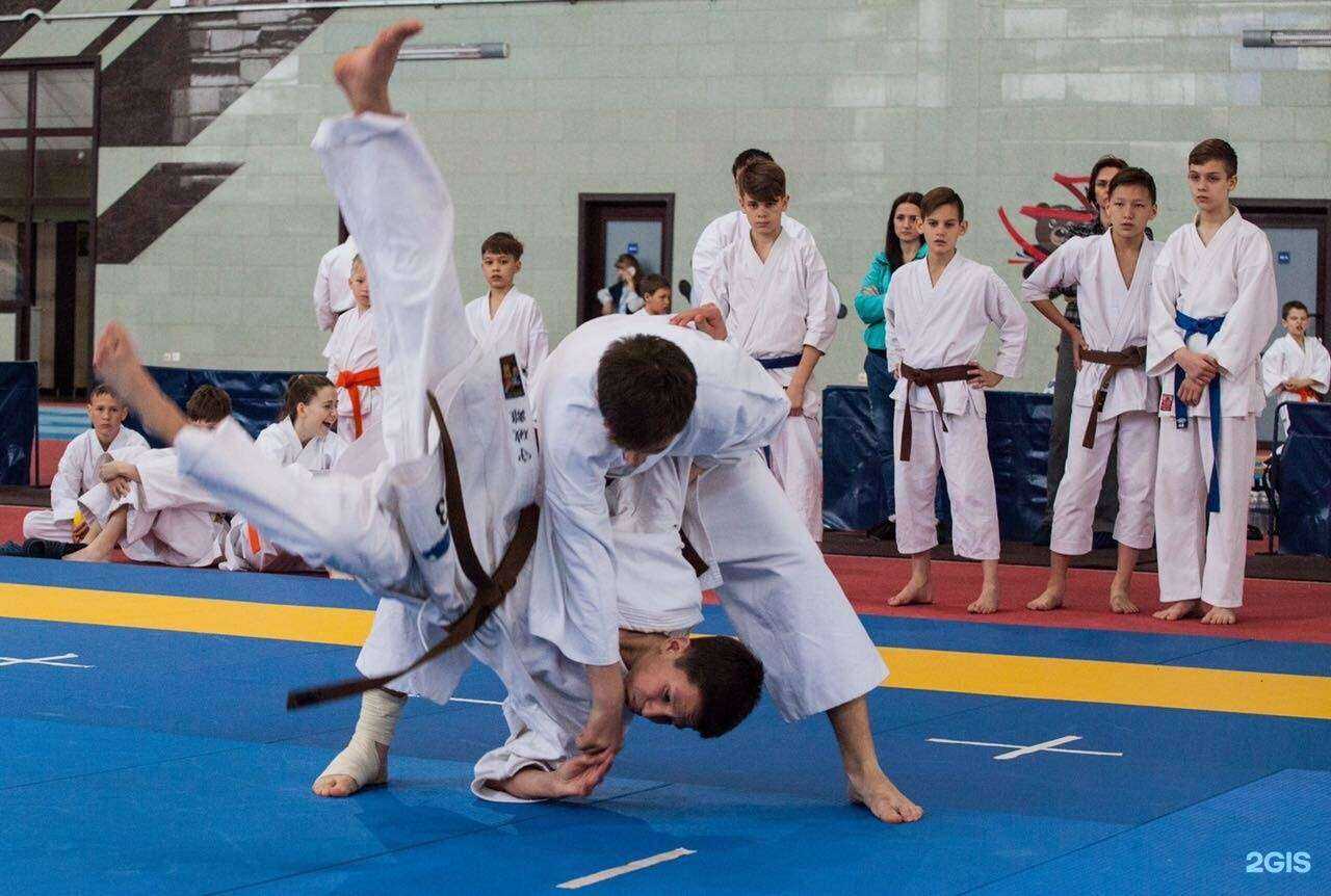 Отзывы на компанию Фудо-Джитсу в Иркутске c фото