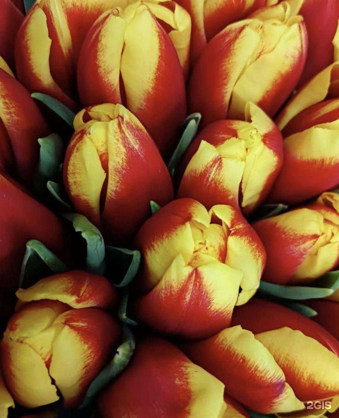 Отзывы на компанию Долина цветов в г. Якутск c фото