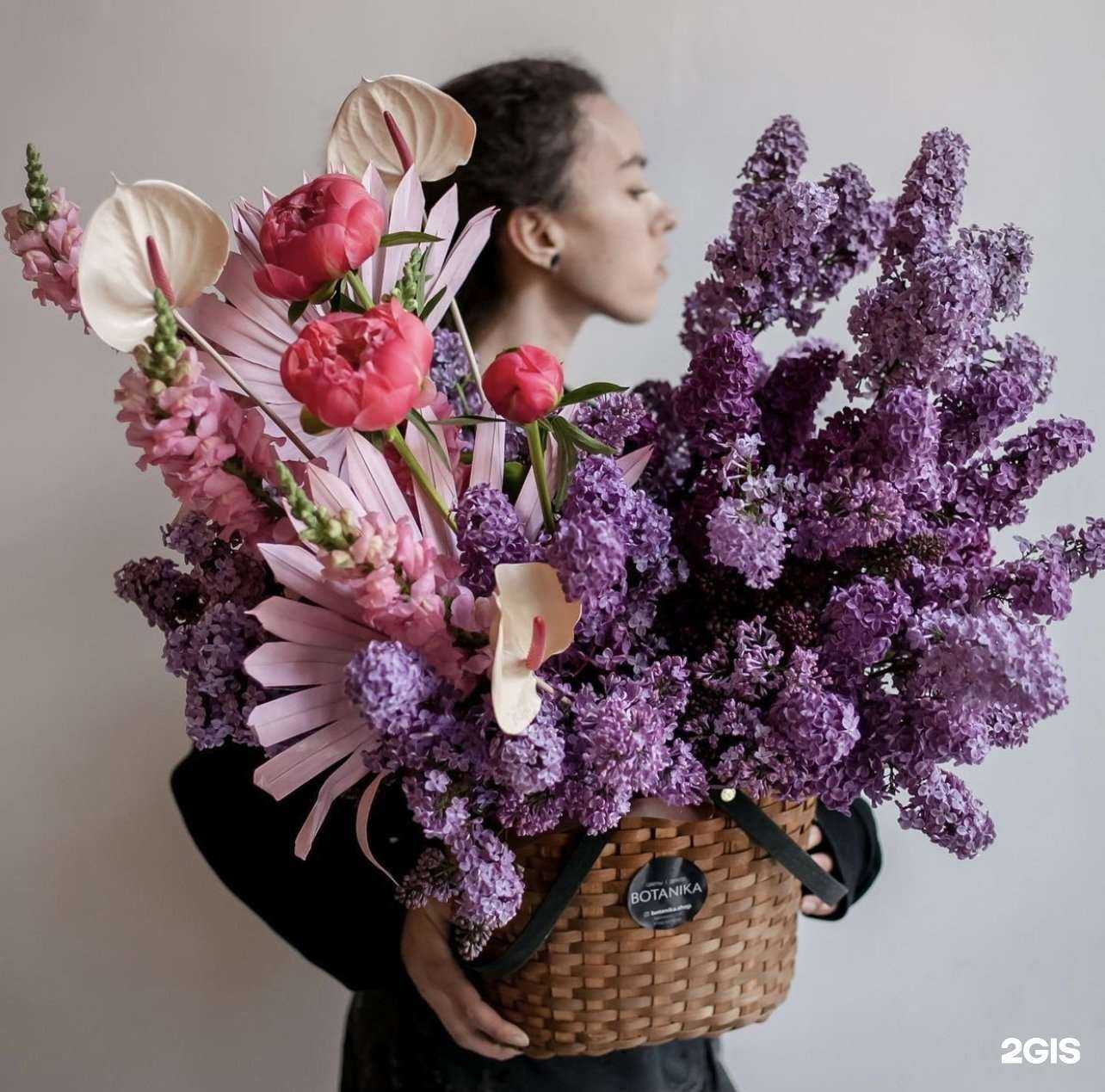 Отзывы на компанию Botanika в Краснодаре c фото