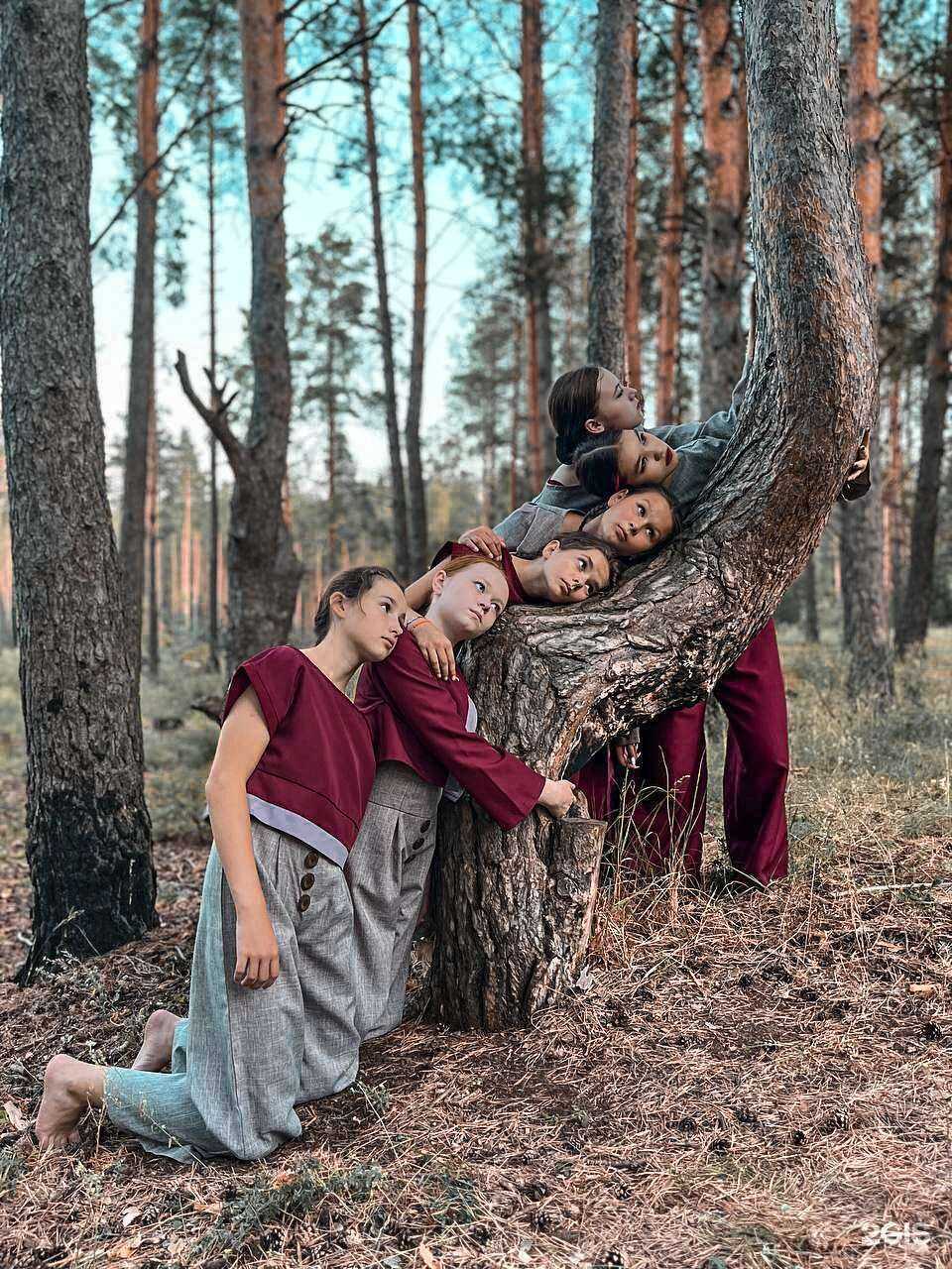 Отзывы на компанию Dancestory в Набережных Челнах c фото