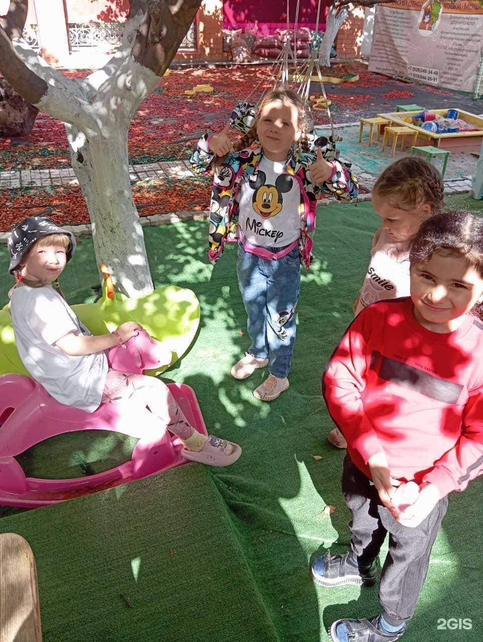 Отзывы на компанию Кошки-Мышки в г. Анапа c фото