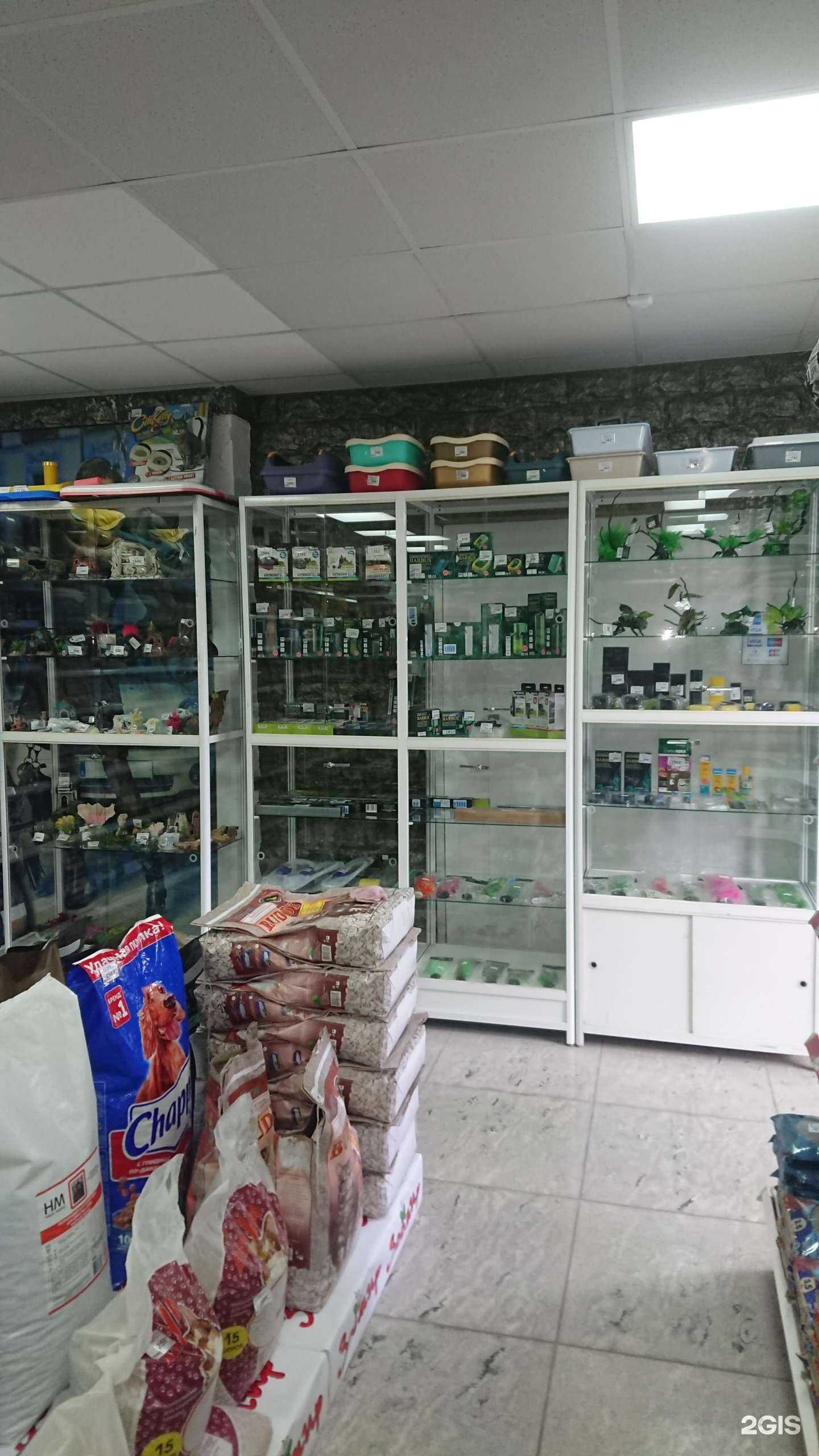 Отзывы на компанию Зоомир в Миассе c фото