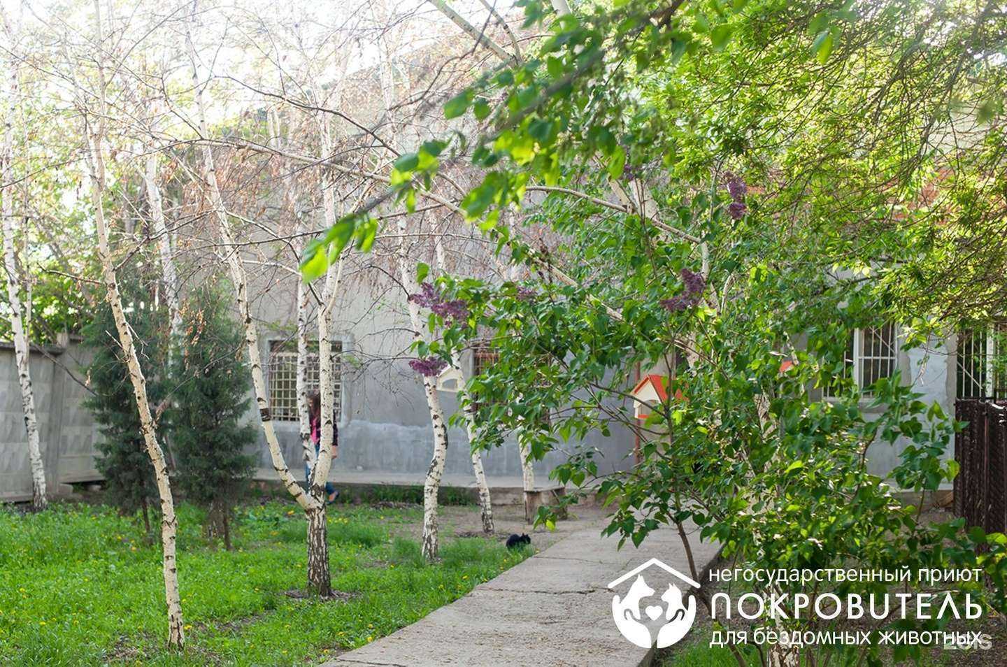 Отзывы на компанию Покровитель в г. Волгоград c фото