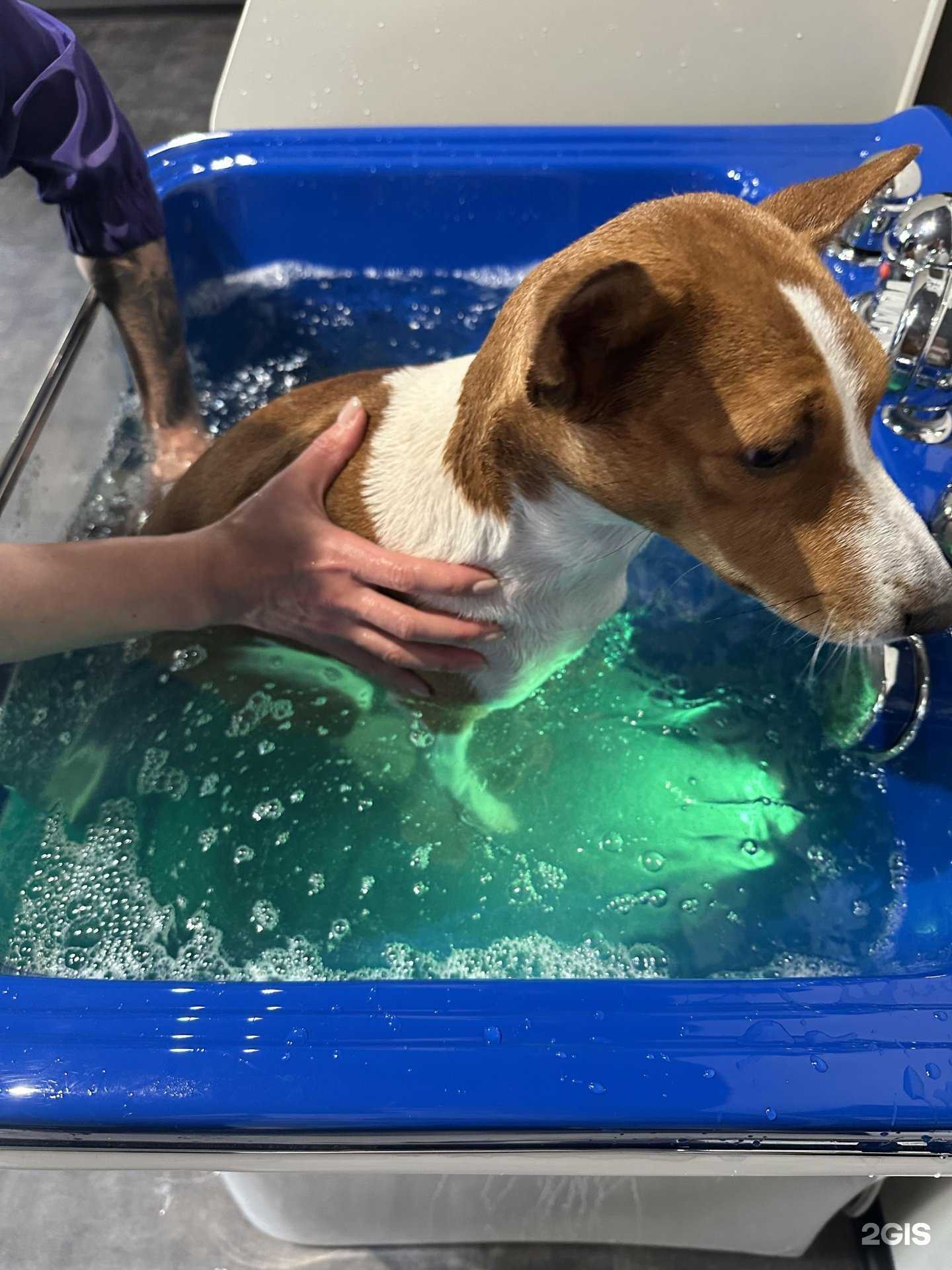 Отзывы на компанию Mister M в г. Екатеринбург c фото