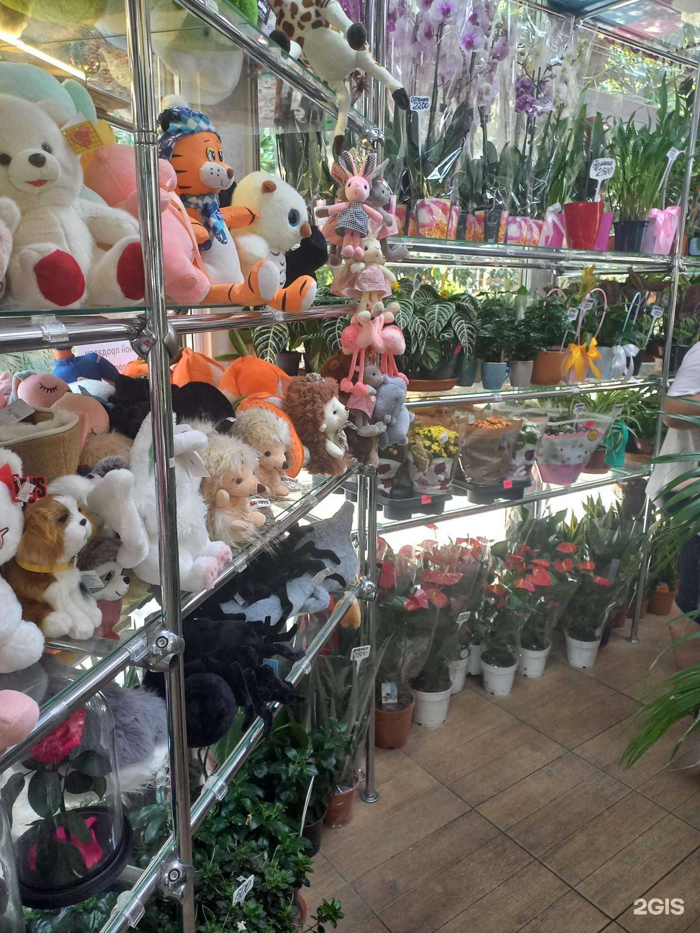 Отзывы на компанию Flowers and Gifts в г. Сочи c фото