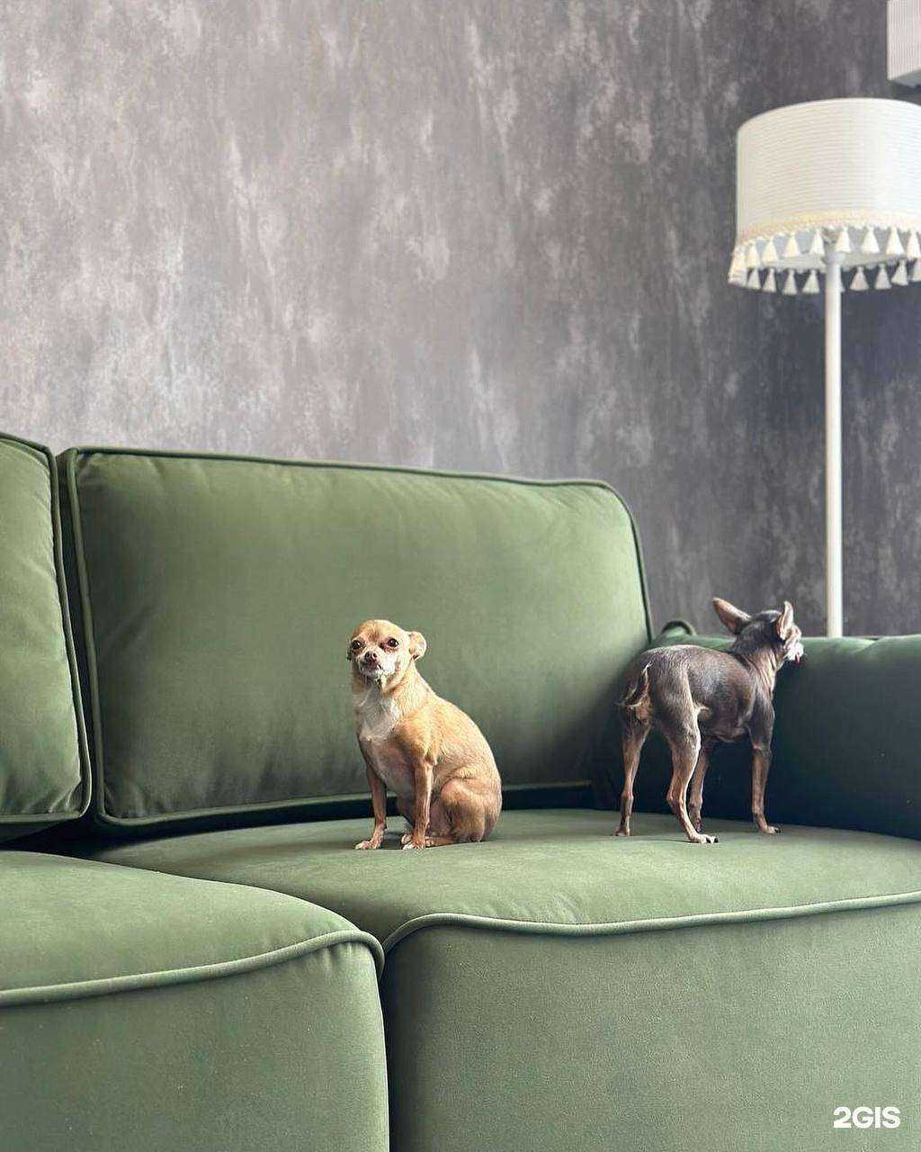 Отзывы на компанию Art divan в г. Казань c фото