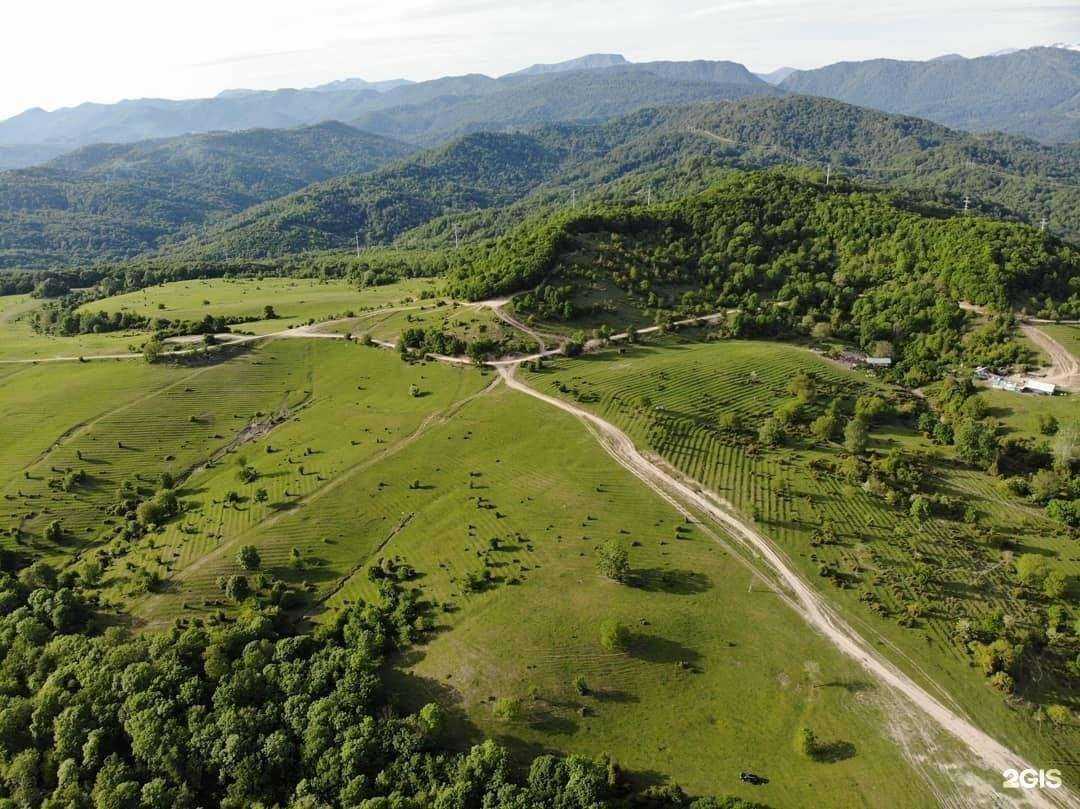 Отзывы на компанию BikeLevel в г. Сочи c фото