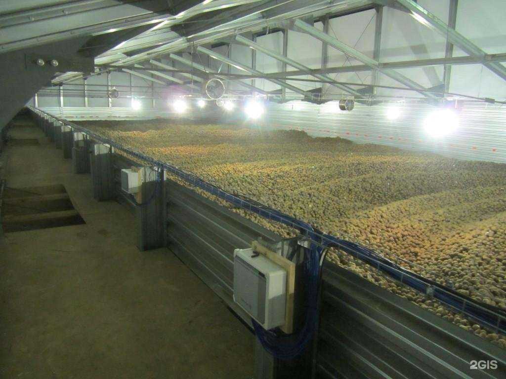 Отзывы на компанию APH group в Омске c фото