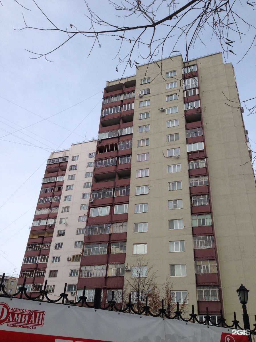 Отзывы на компанию Доктор Вет в Челябинске c фото - фотография 2 из 2