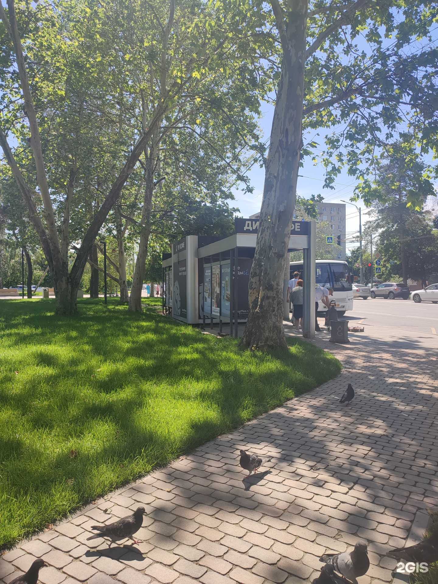 Отзывы на компанию Dim coffee в Краснодаре c фото