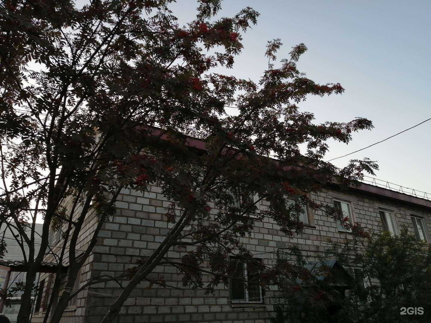 Отзывы на компанию Комплекс бытовых услуг в Южно-Сахалинске c фото - фотография 2 из 2