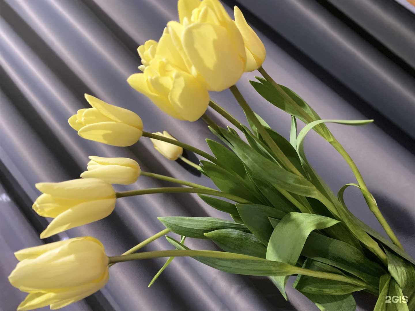 Отзывы на компанию Вкусно&Bistro в Краснодаре c фото