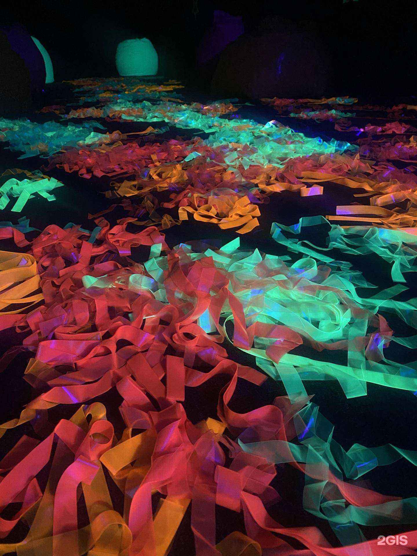 Отзывы на компанию Камчатский мишка в Петропавловске-Камчатском c фото