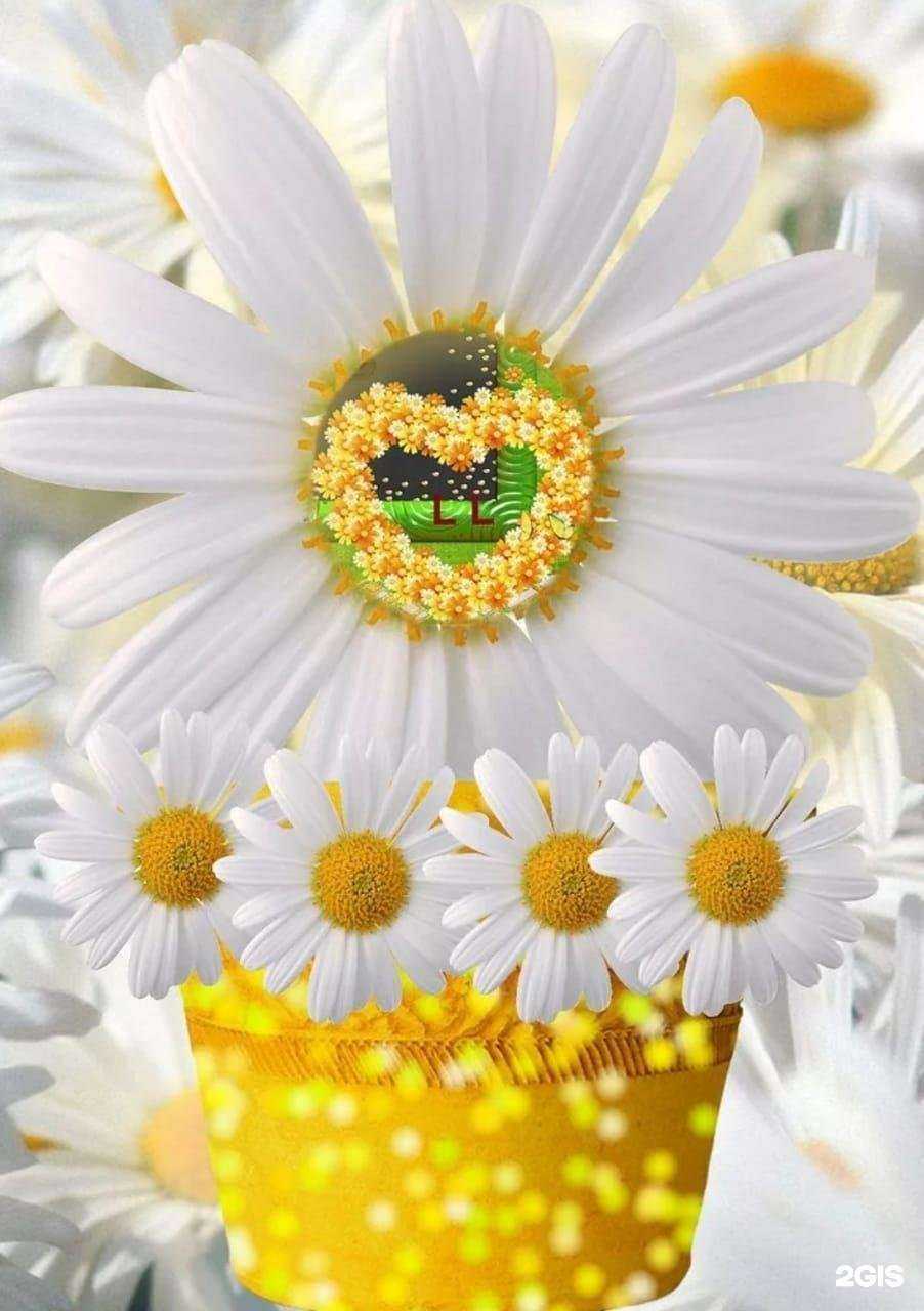 Отзывы на компанию Детский сад №19 комбинированного вида в Краснодаре c фото