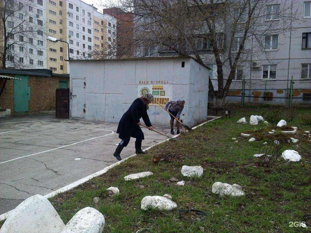 Отзывы на компанию Веточка в Тольятти c фото