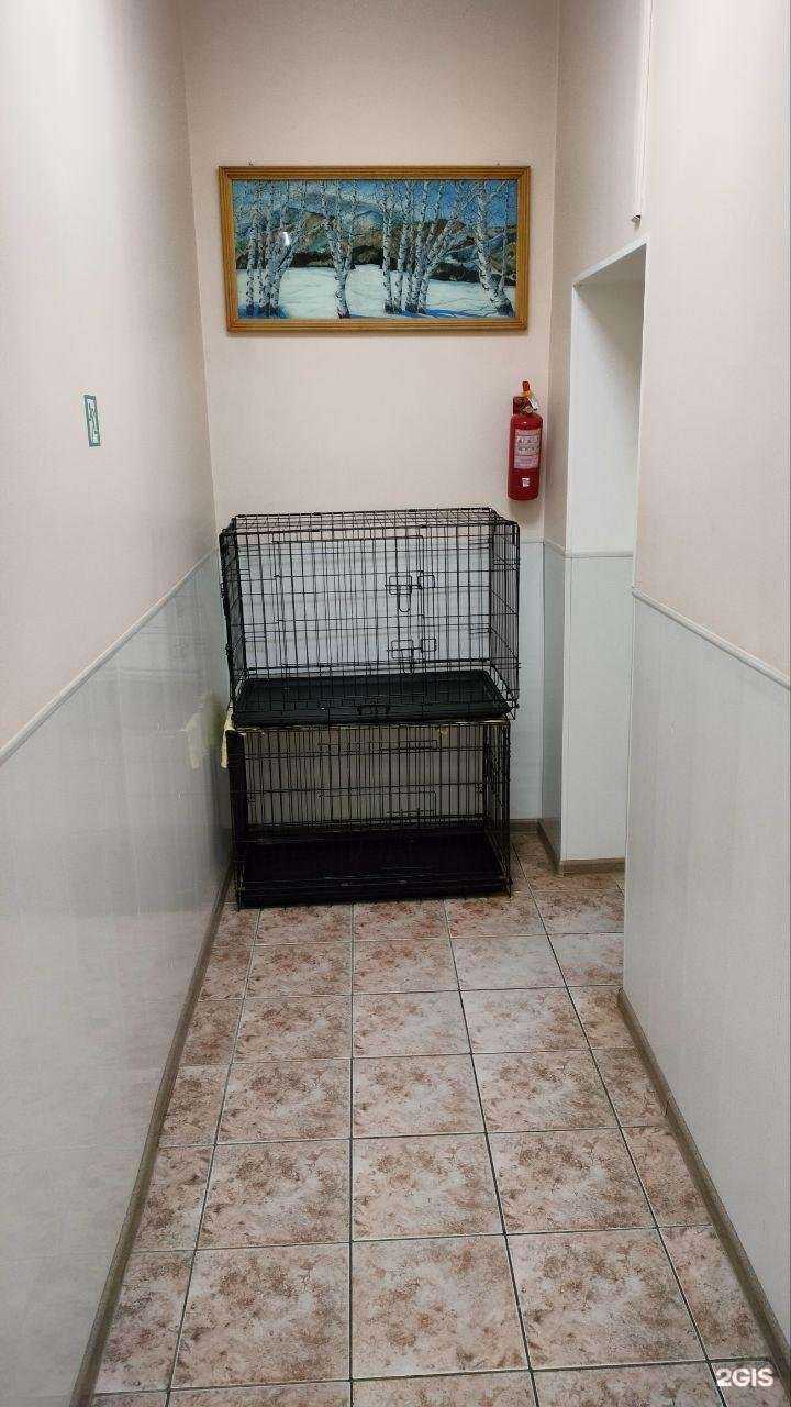 Отзывы на компанию Айболит в г. Находка c фото