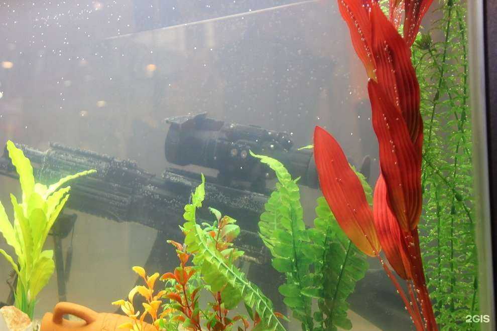 Отзывы на компанию Тпк Аргус-нв в г. Дзержинский c фото