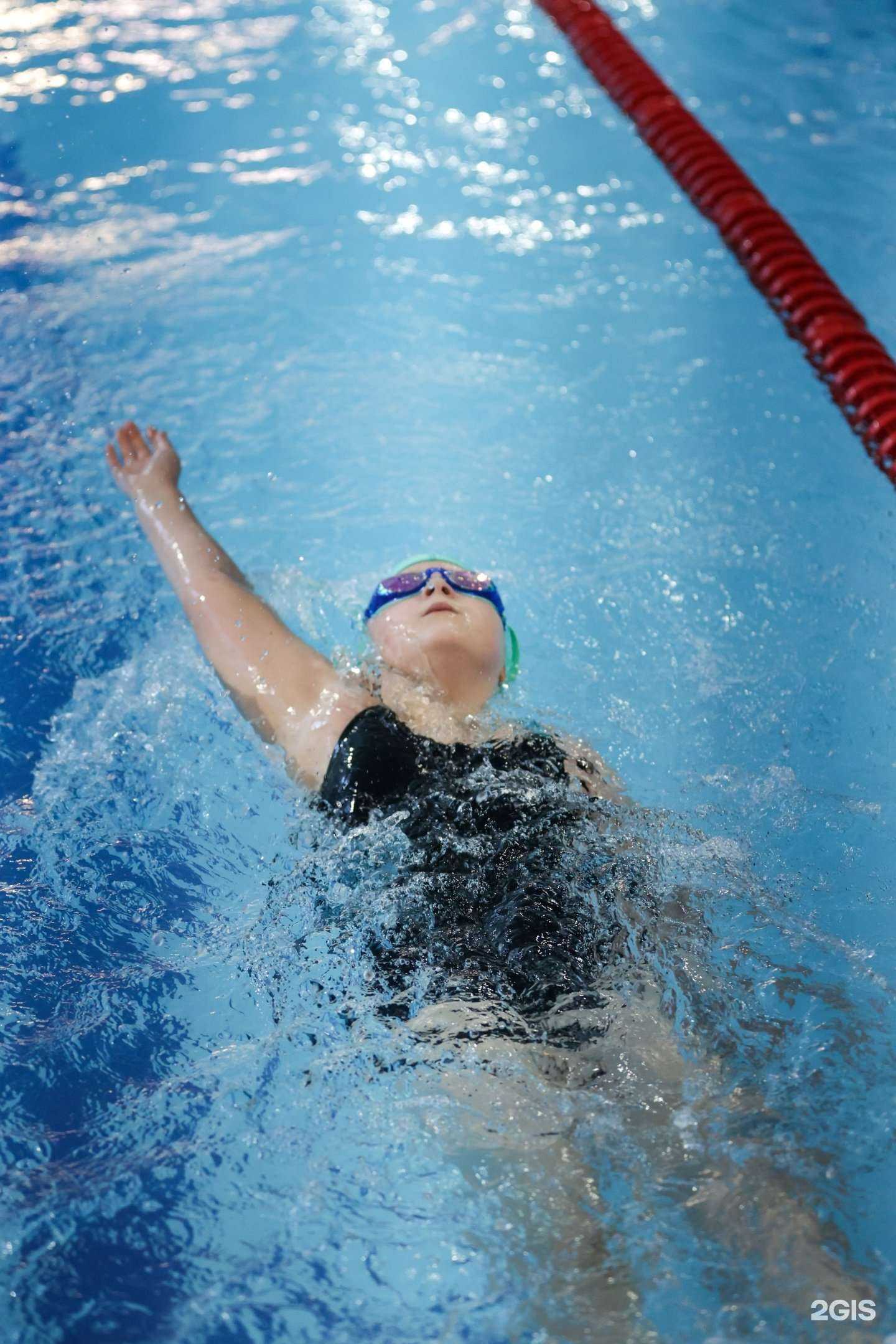 Отзывы на компанию Sandros swimming в Тамбове c фото