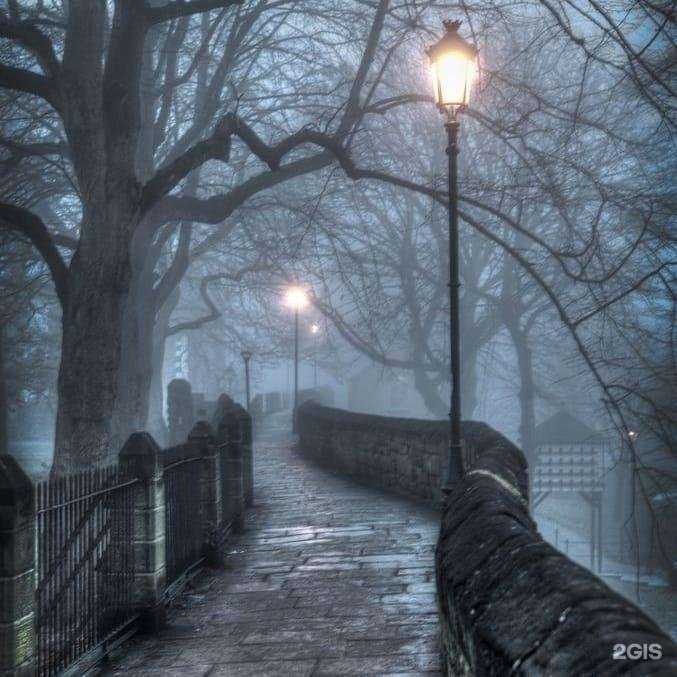 Отзывы на компанию Lawаlfa в Новокузнецке c фото