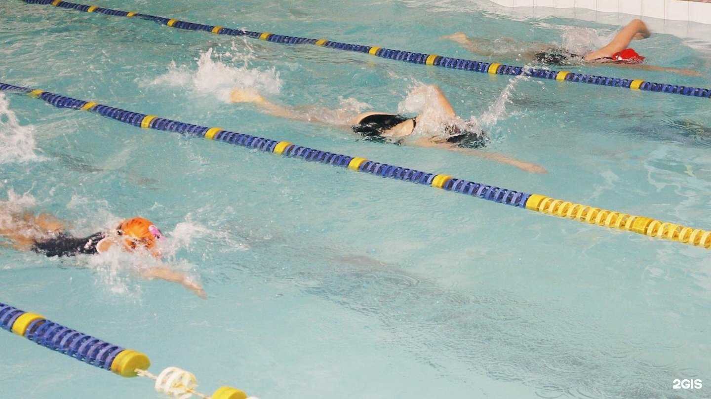 Отзывы на компанию СШОР водных видов спорта в Перми c фото