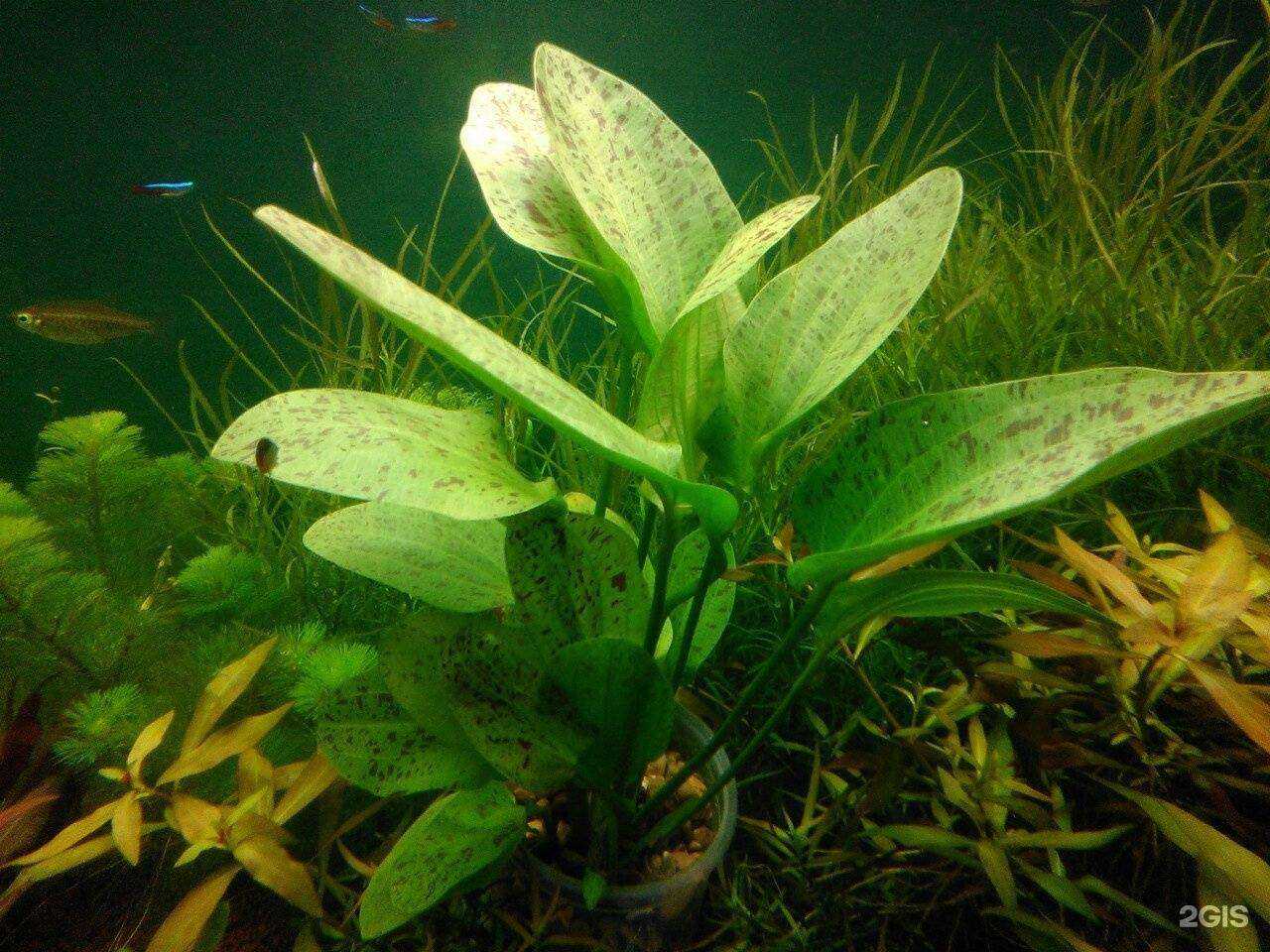 Отзывы на компанию Живой уголок в Кирове c фото