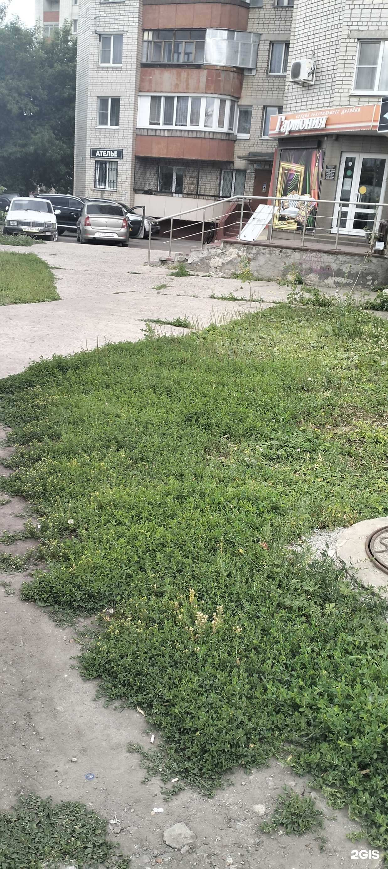 Отзывы на компанию Гармони сервис в Тамбове c фото