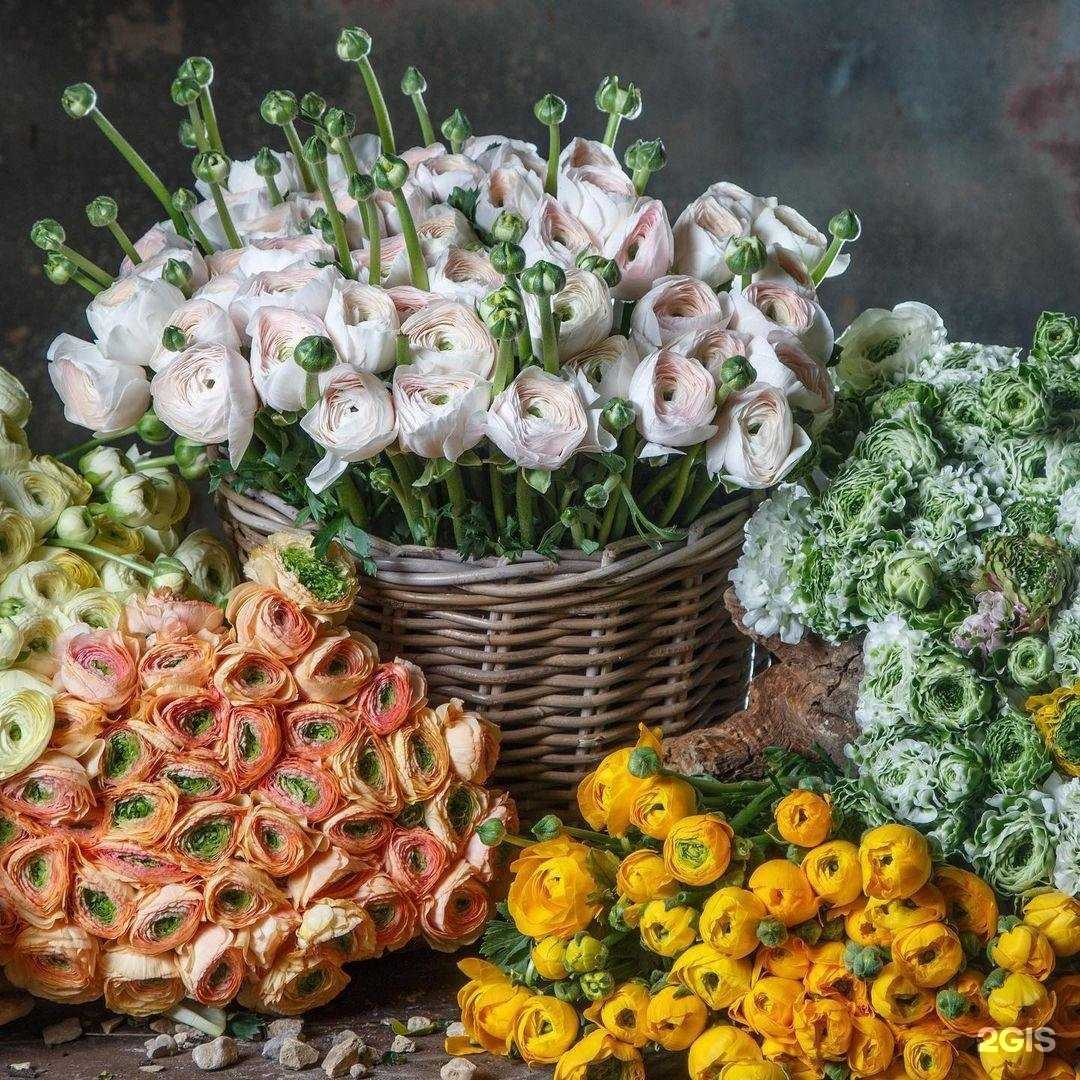 Отзывы на компанию Цветы от Мачелюка в Ростове-на-Дону c фото