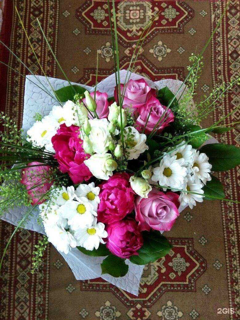 Отзывы на компанию Freedom в Архангельске c фото