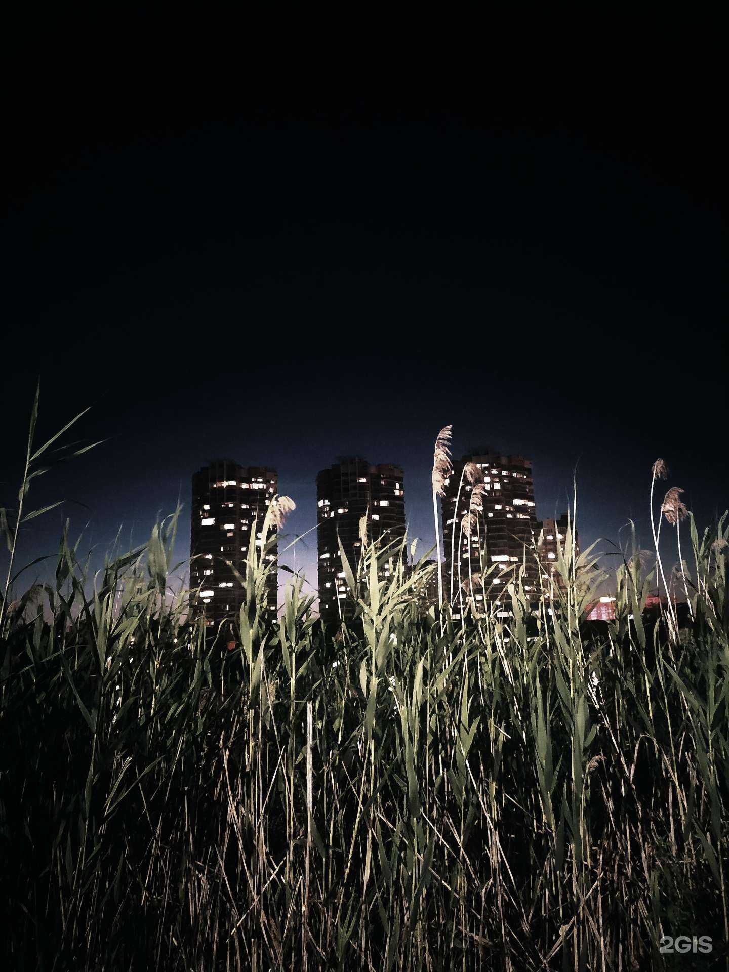 Отзывы на компанию Аудит-Консалтинг в Краснодаре c фото