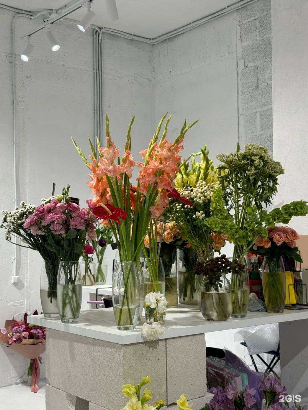 Отзывы на компанию Trend flower в Краснодаре c фото