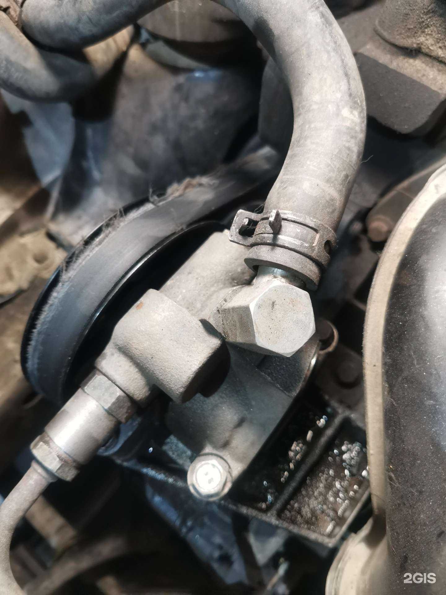 Отзывы на компанию 54 gallons в Новосибирске c фото