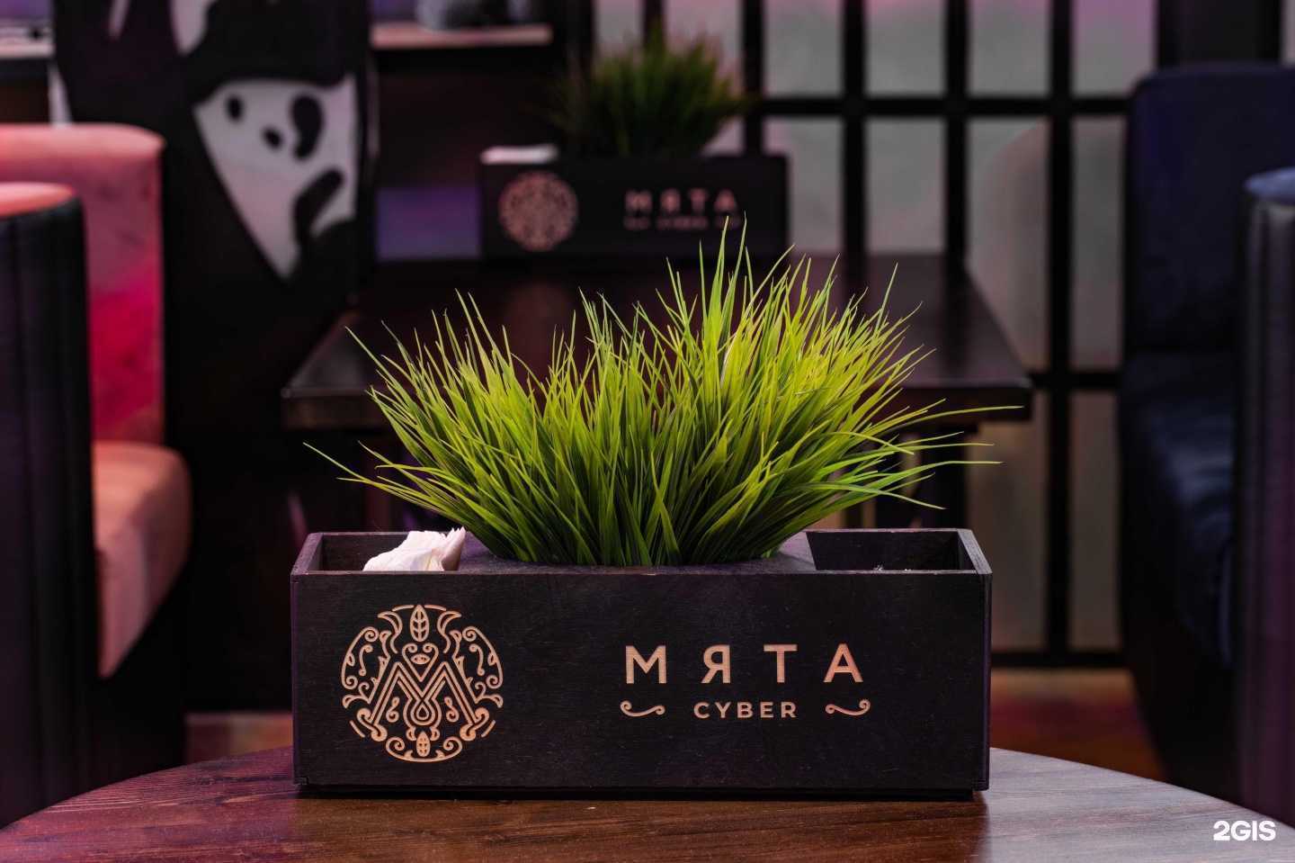 Отзывы на компанию Мята Cyber Павловский Посад в Павловском Посаде c фото