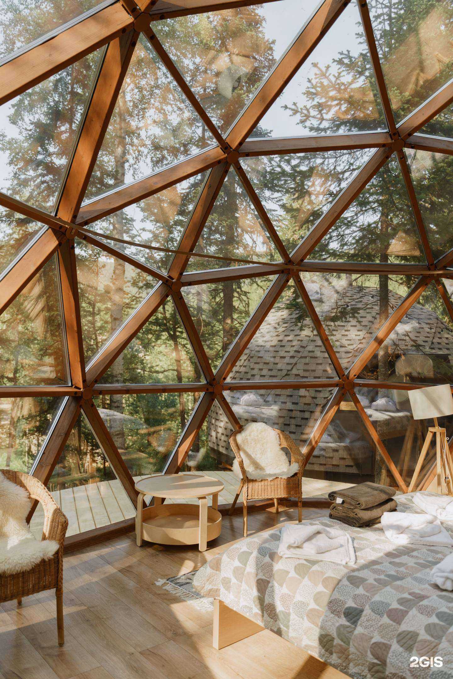 Отзывы на компанию Скородом в г. Новосибирск c фото