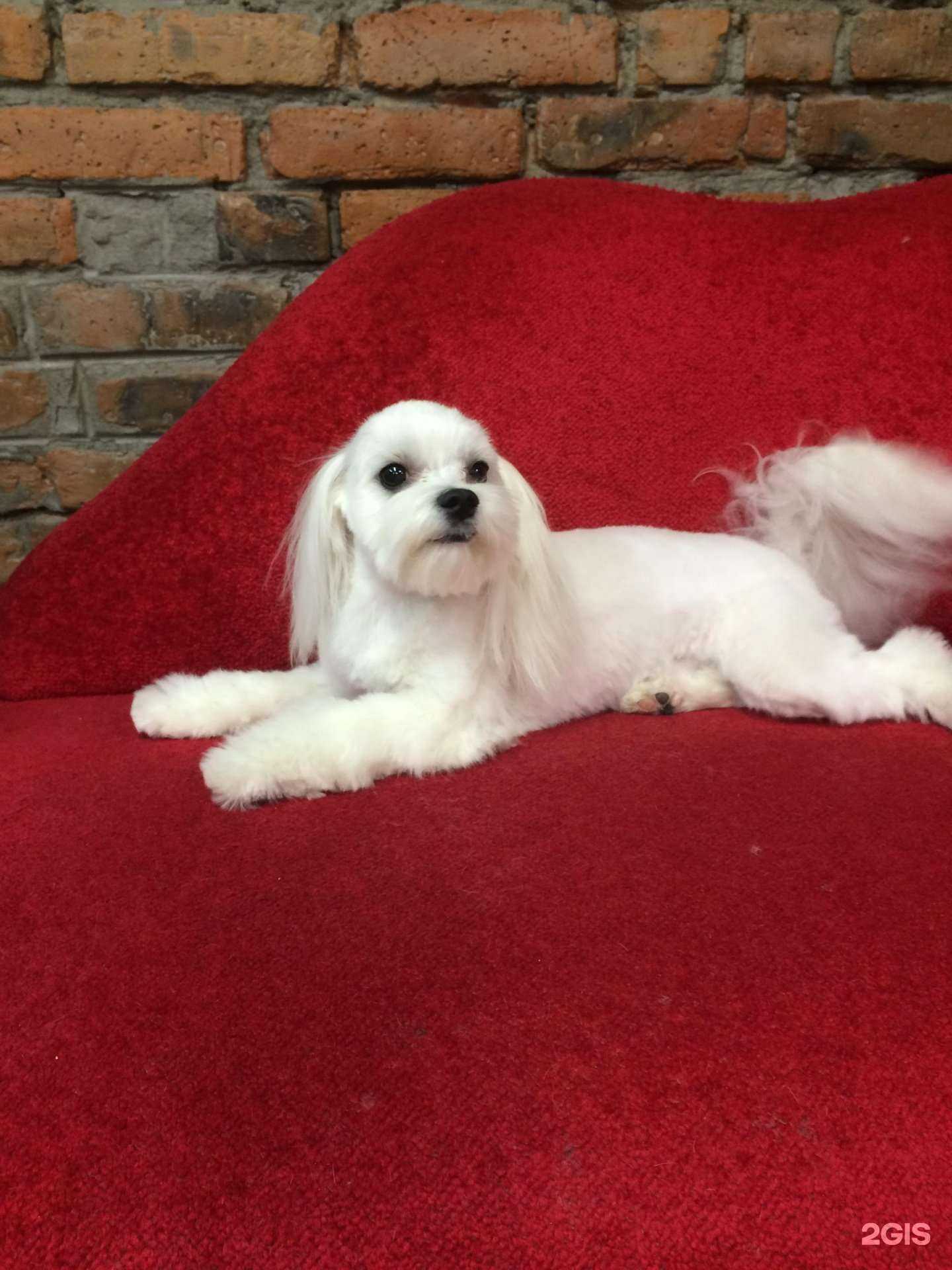 Отзывы на компанию Авва в Новосибирске c фото