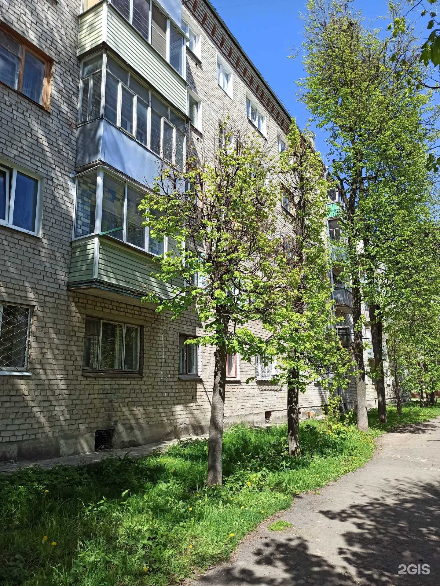 Отзывы на компанию Nataly в Коврове c фото - фотография 2 из 2