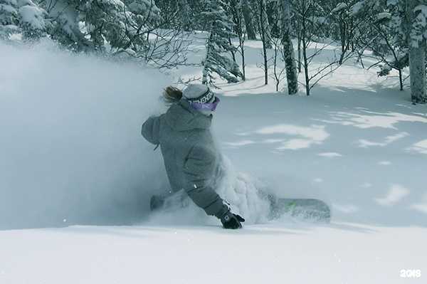Отзывы на компанию Дисконт-центр сноубордов в г. Новосибирск c фото