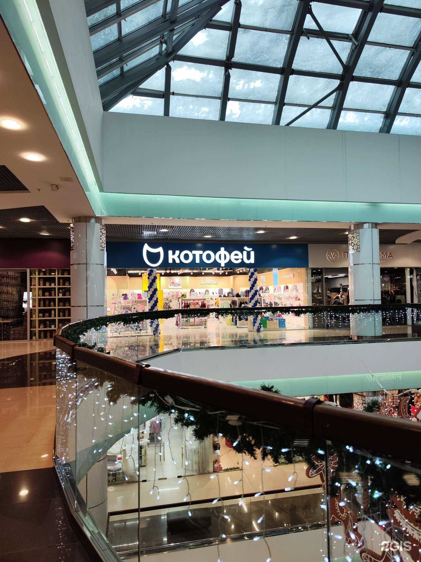 Отзывы на компанию Котофей в Новосибирске c фото