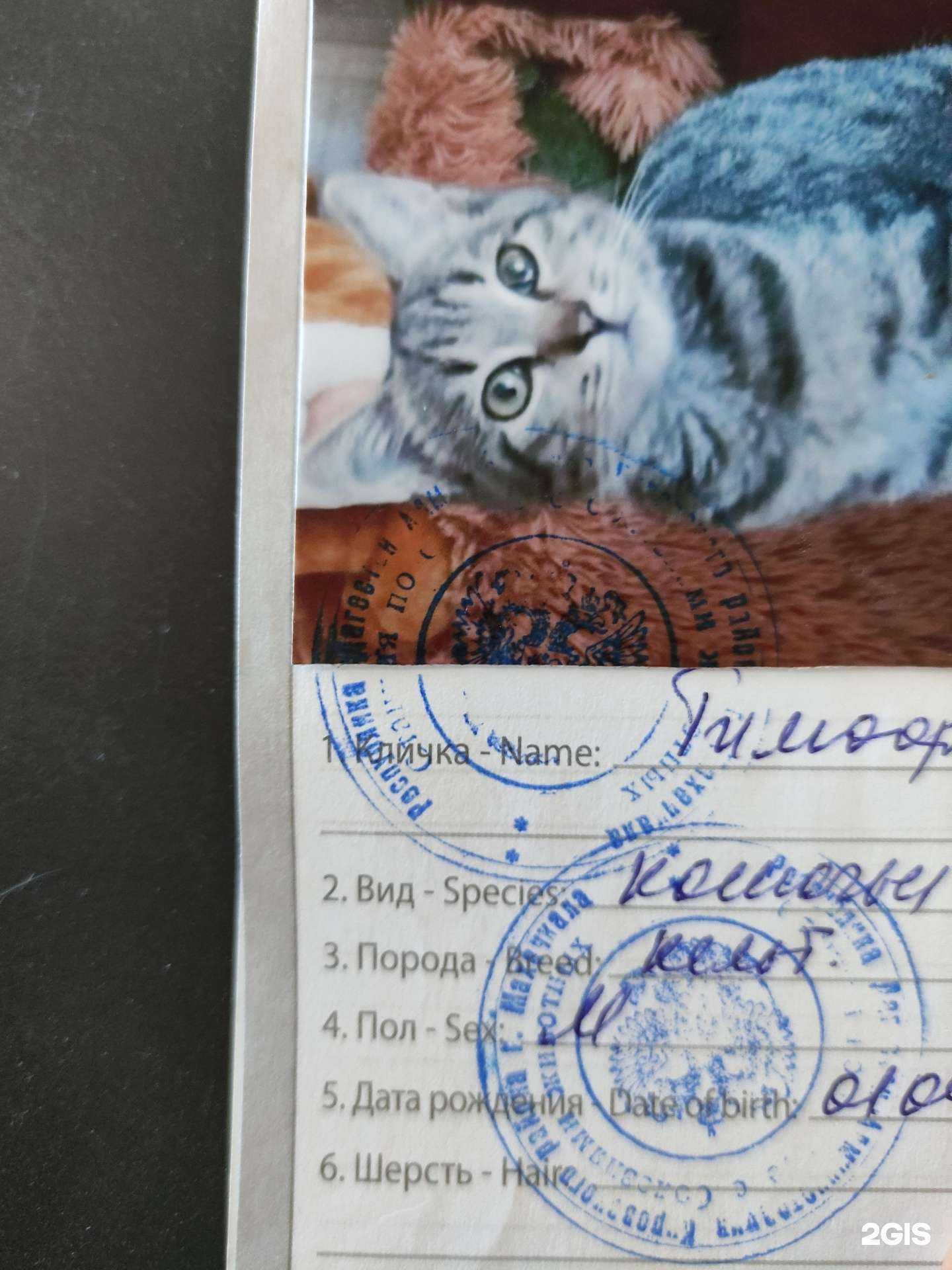 Отзывы на компанию Кировская ветеринарная станция в Махачкале c фото