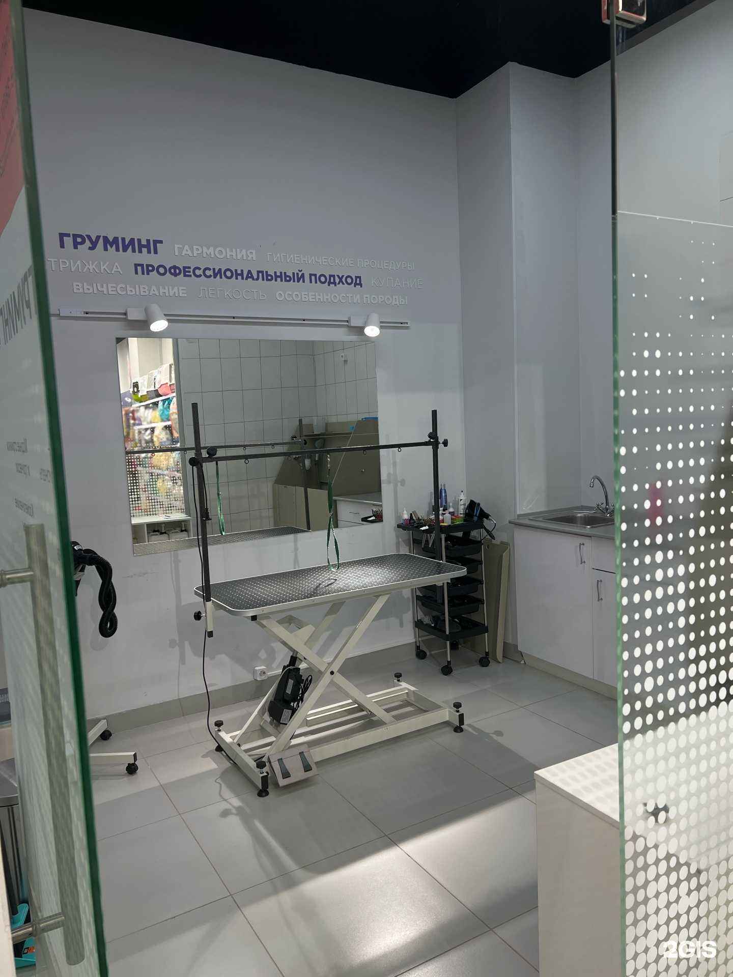 Отзывы на компанию Четыре лапы в Тюмени c фото