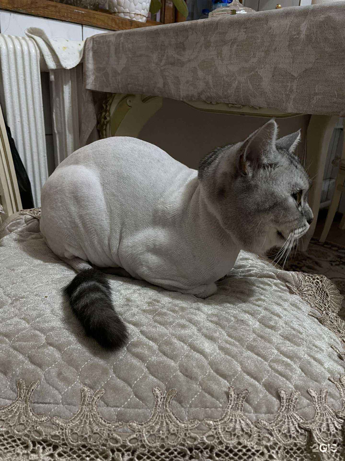 Отзывы на компанию Мвет в Каспийске c фото