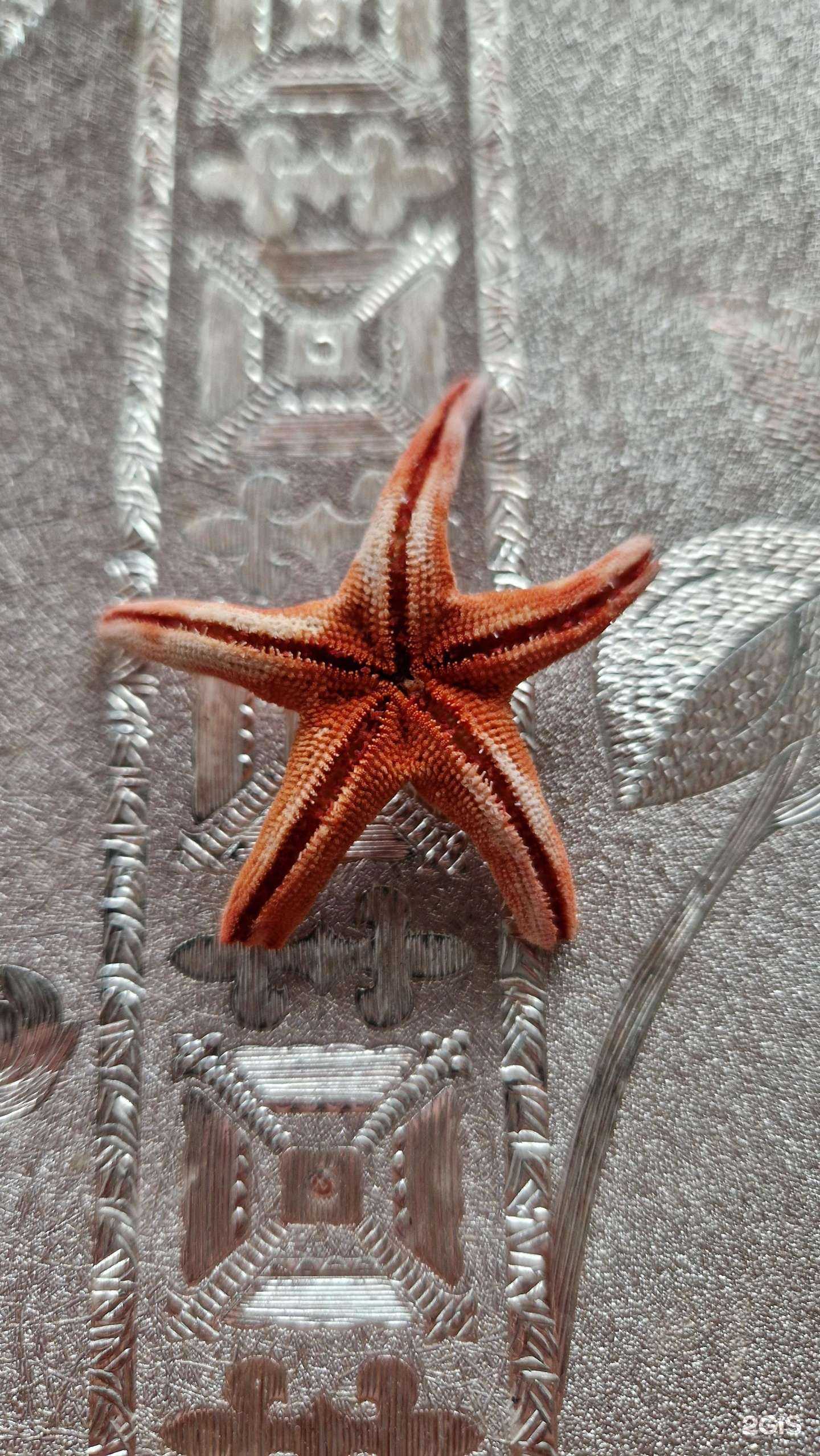 Отзывы на компанию Самокат в Омске c фото