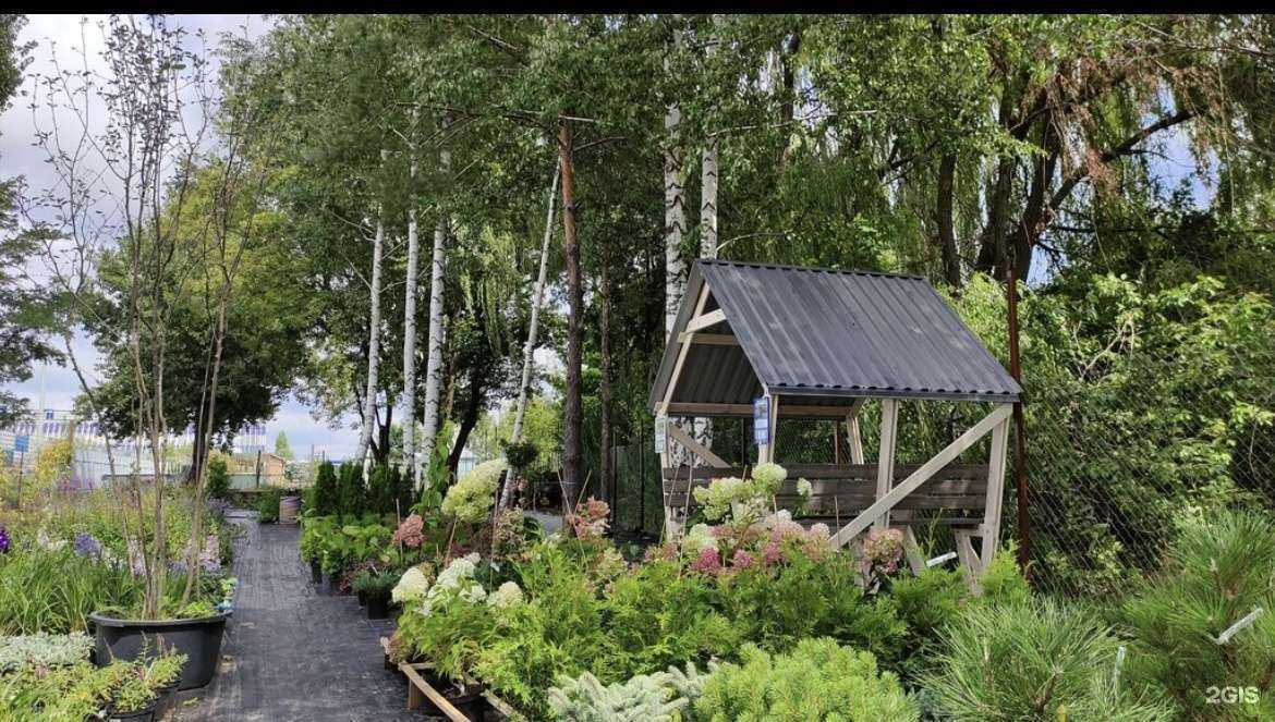 Отзывы на компанию Neогород в Воронеже c фото