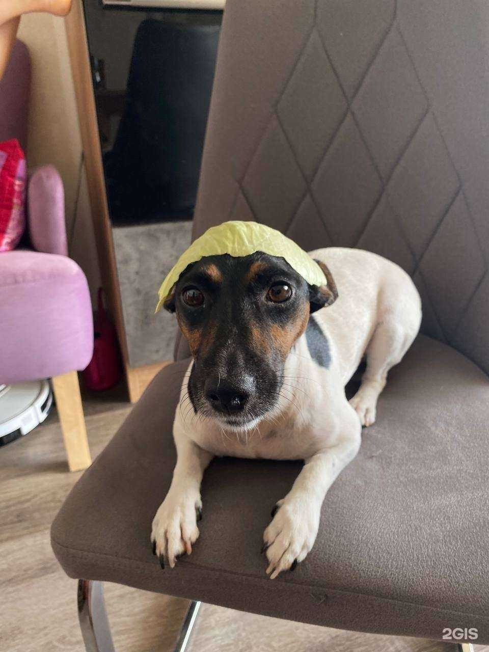 Отзывы на компанию Лицей №17 в г. Ставрополь c фото