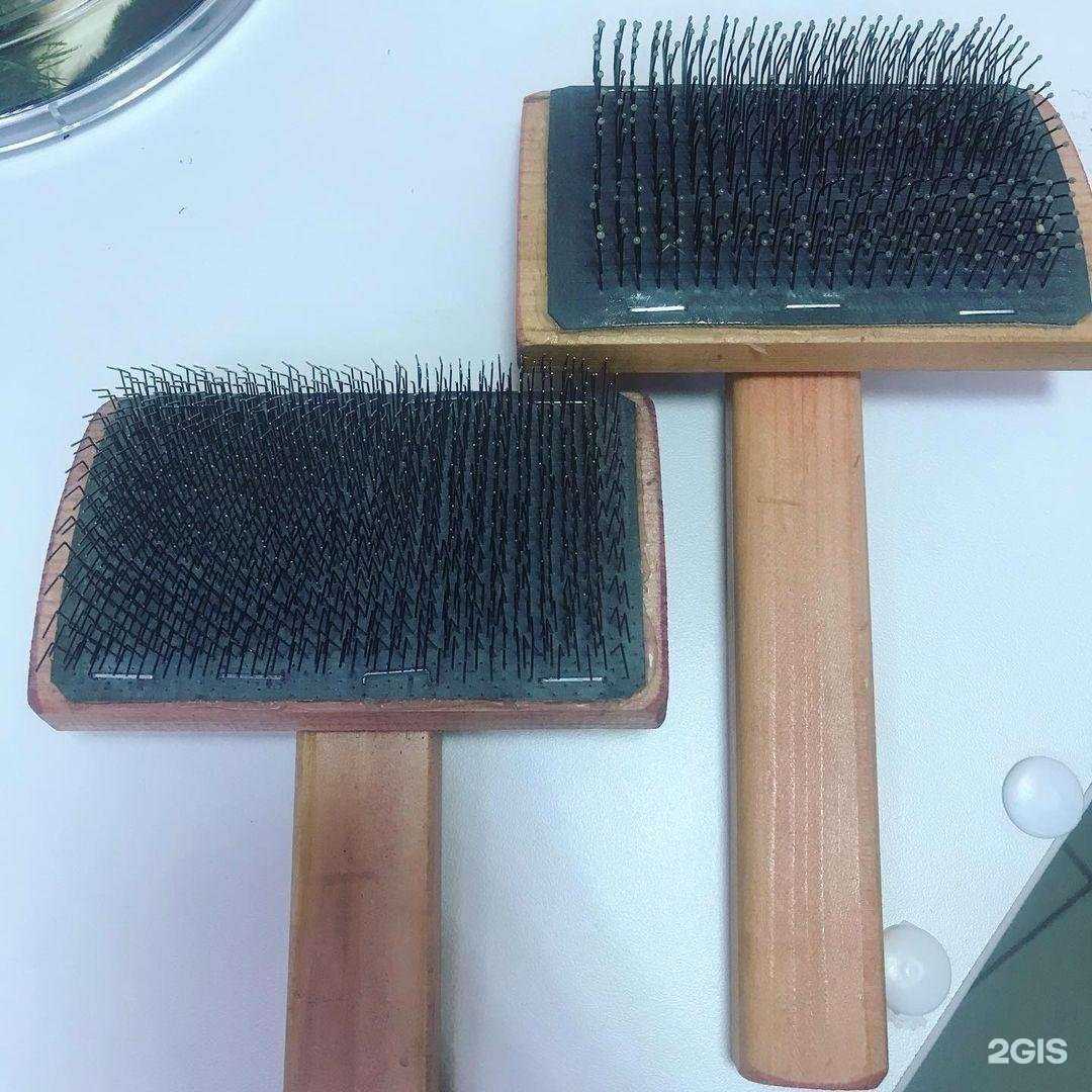 Отзывы на компанию Зоомагазин в Ульяновске c фото