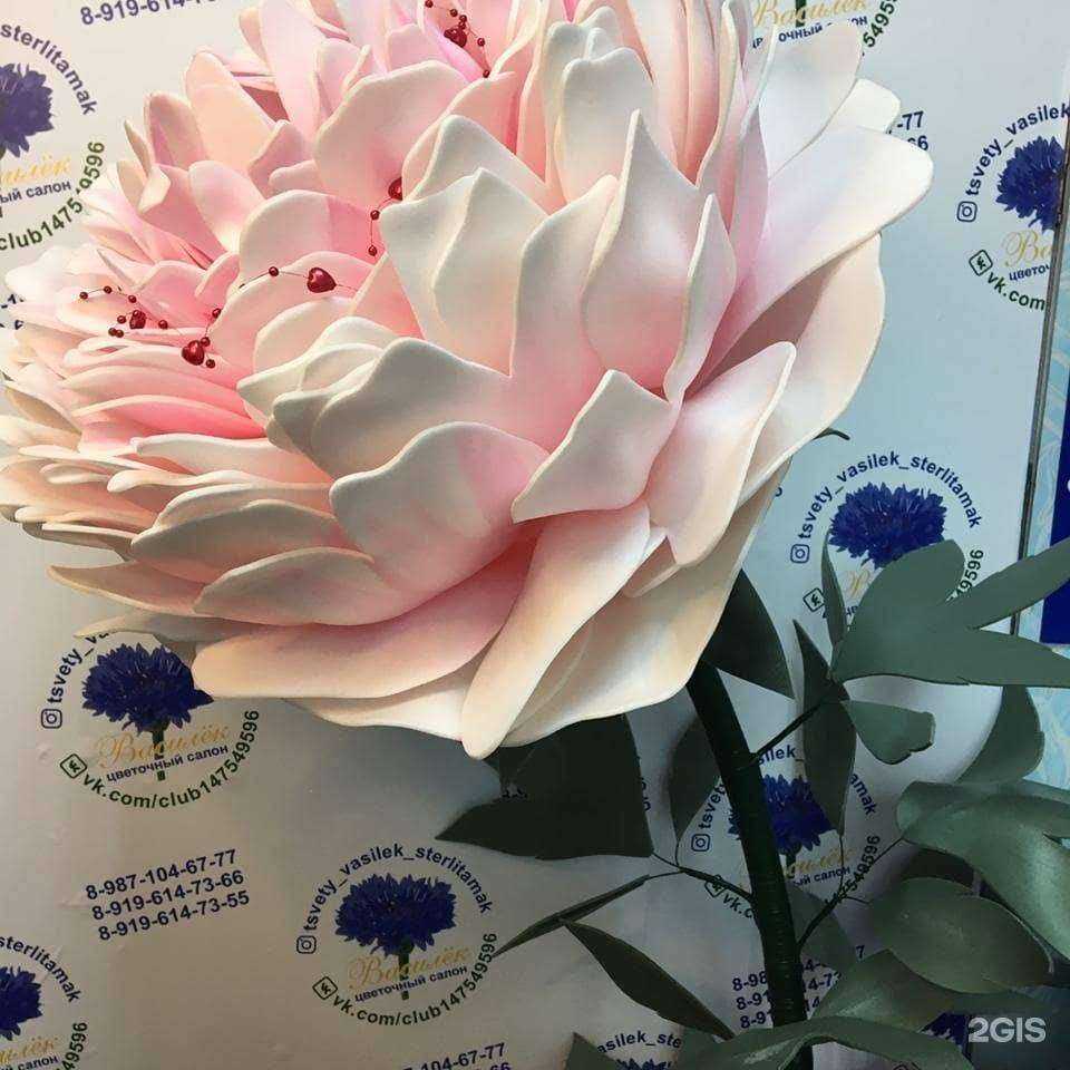 Отзывы на компанию Василёк в Стерлитамаке c фото