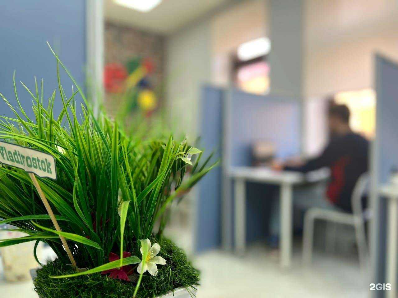 Отзывы на компанию Laboratory Online в г. Владивосток c фото