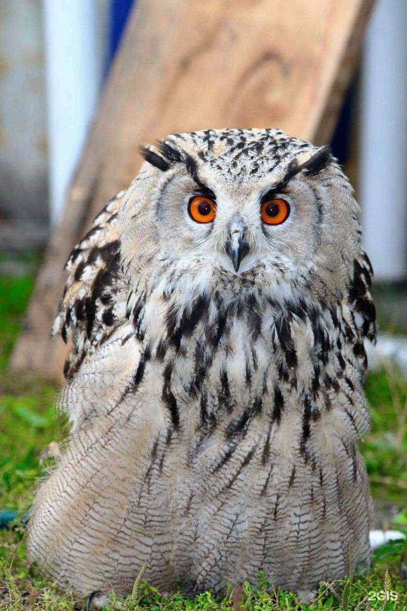 Отзывы на компанию Спаси меня в г. Челябинск c фото