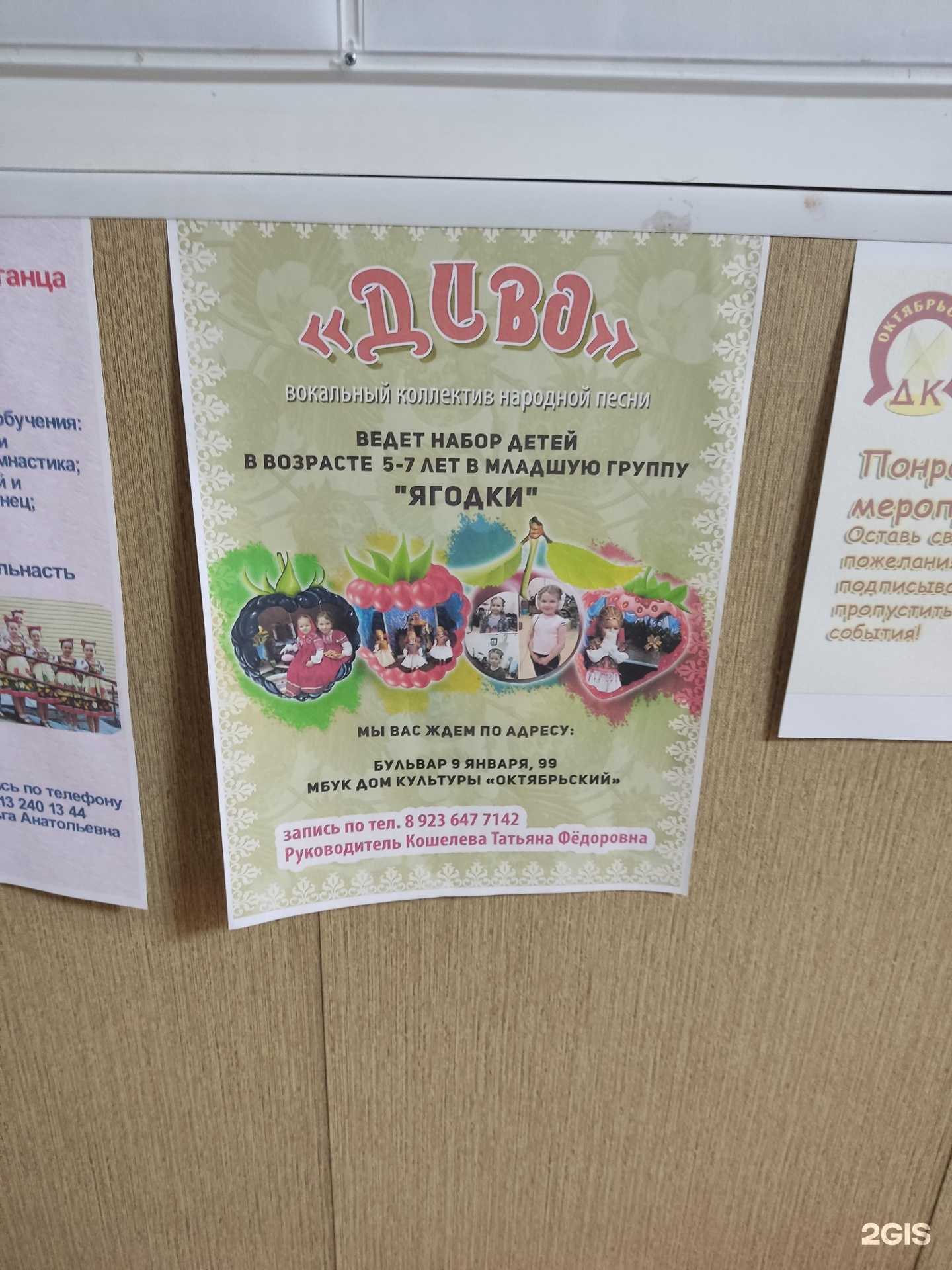 Отзывы на компанию Диво в Барнауле c фото